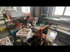 ODM tubo di gas in ottone chiuso valvola personalizzata con colore manico blu